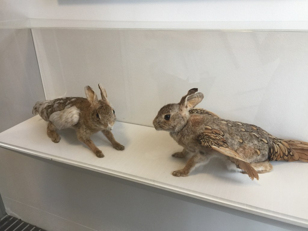 Hawkesbury Regional Museum