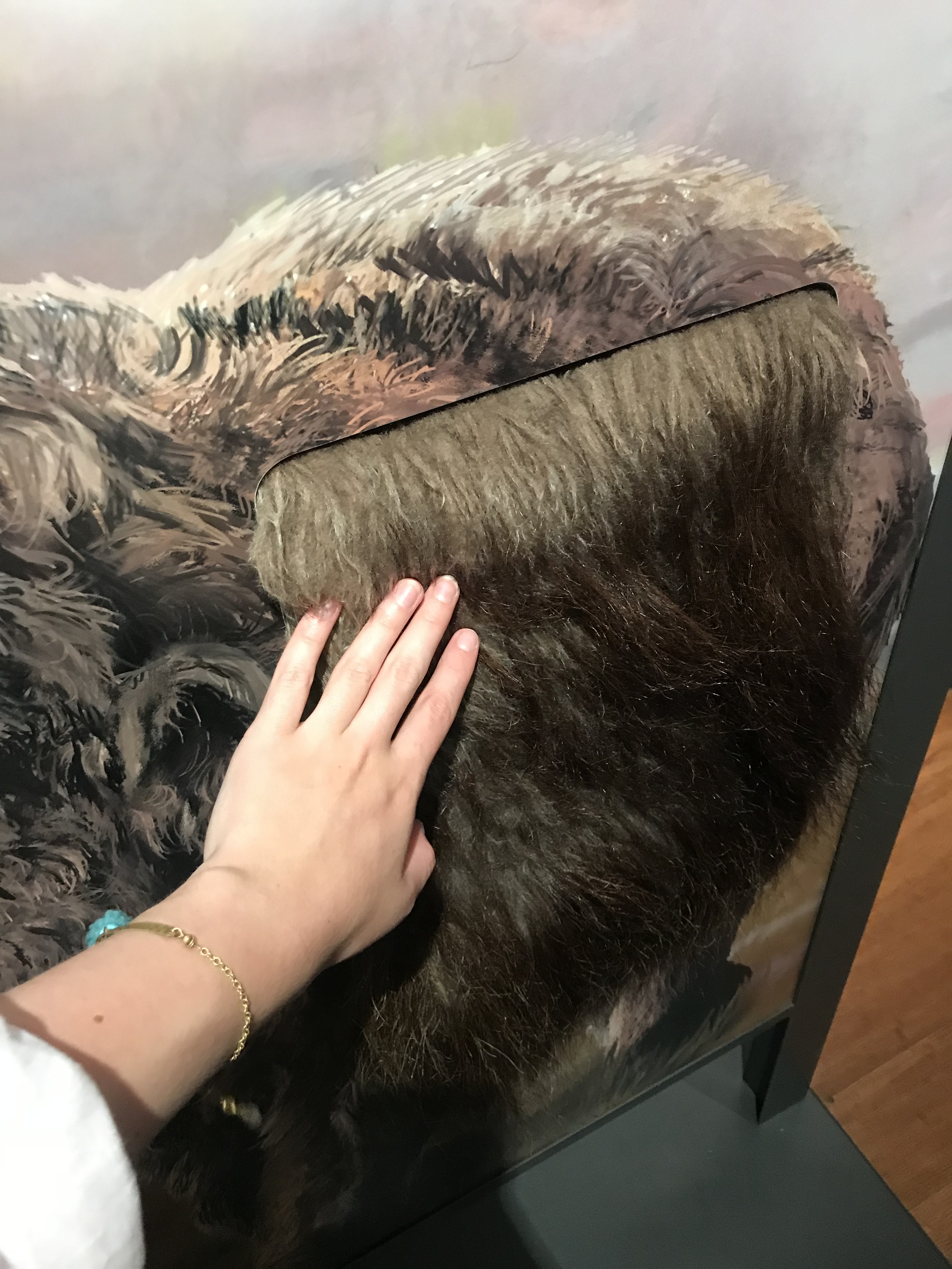 Photo 24-1-18, 12 05 39 pm