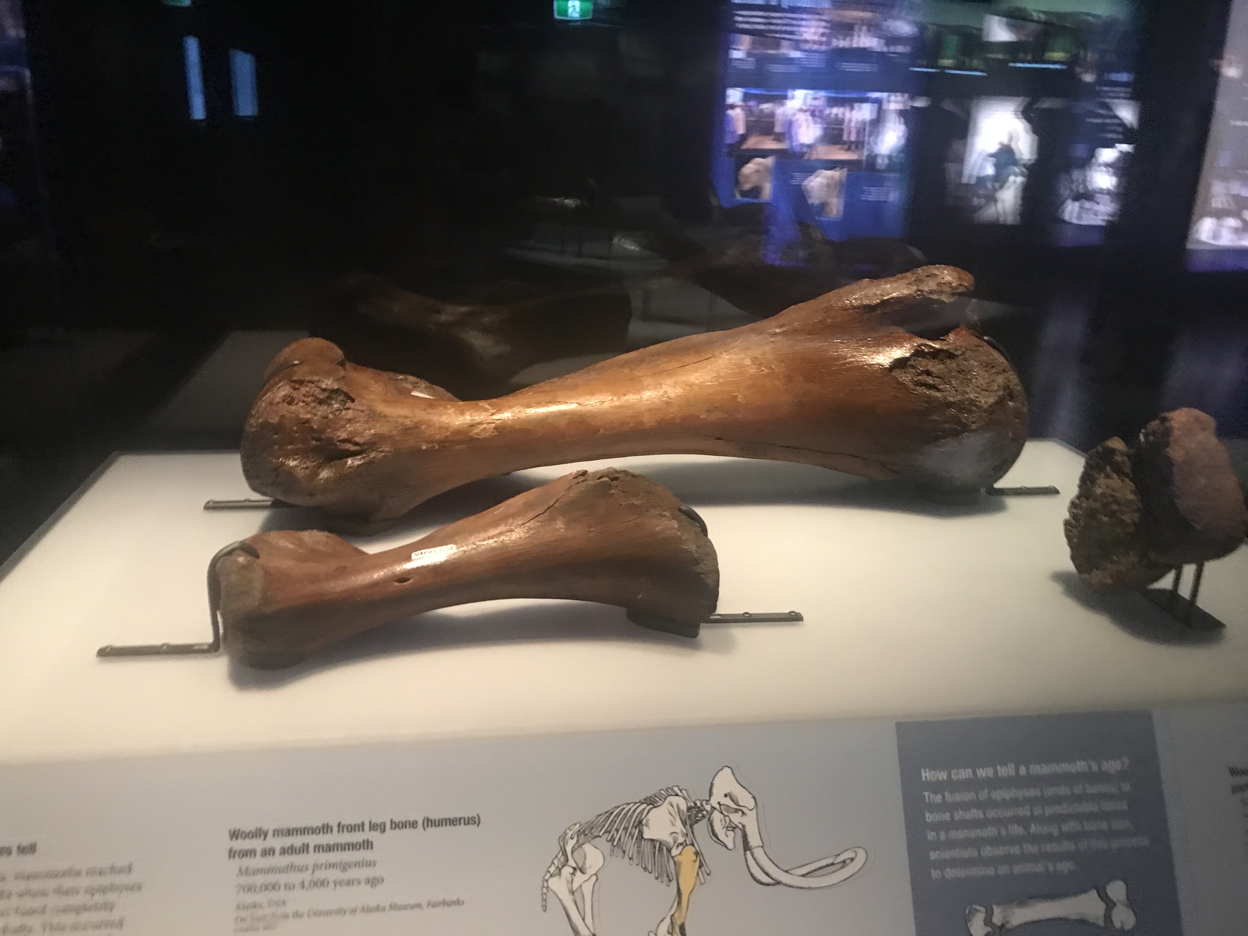 Photo 24-1-18, 12 18 18 pm