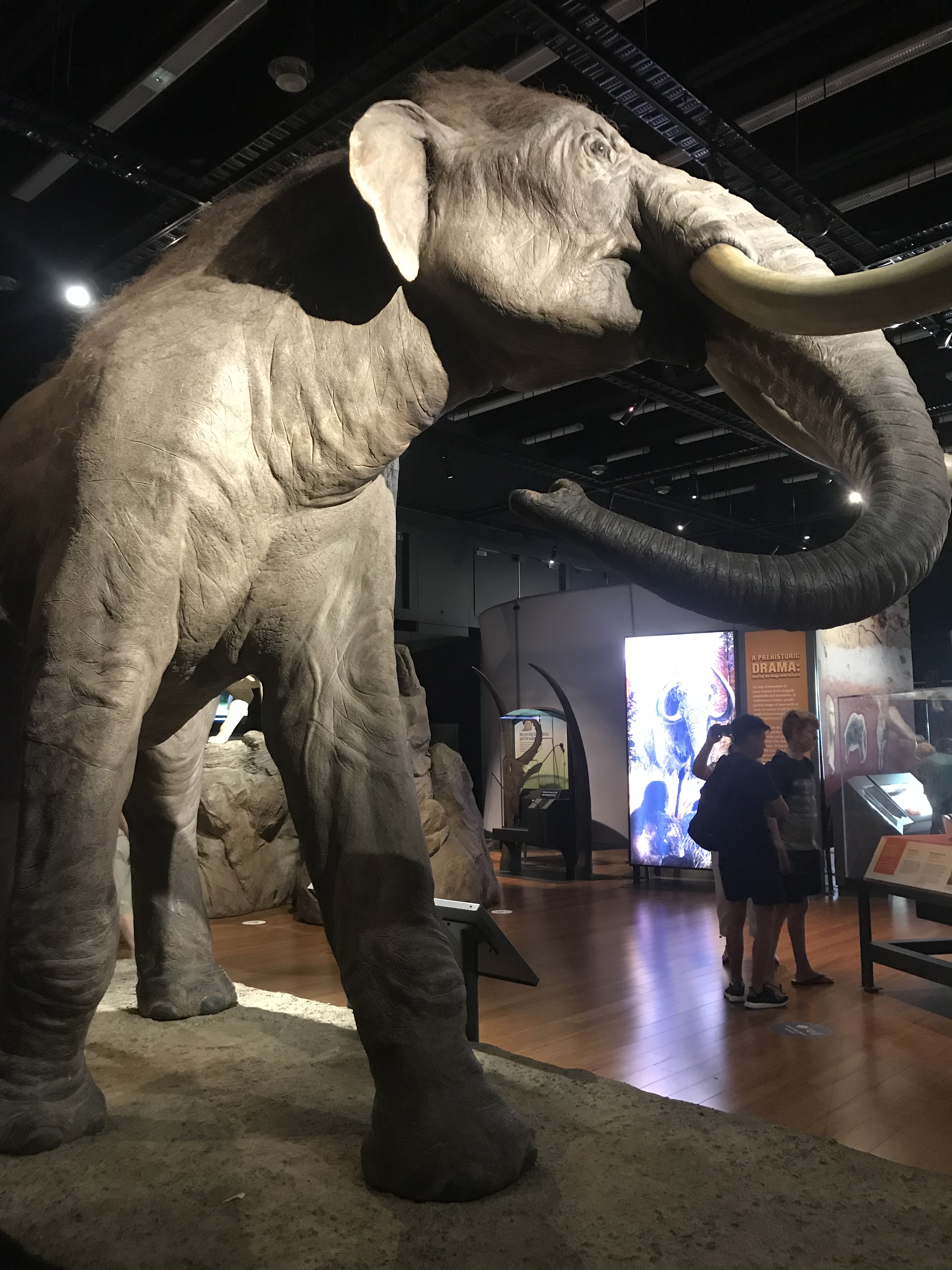 Photo 24-1-18, 12 28 27 pm