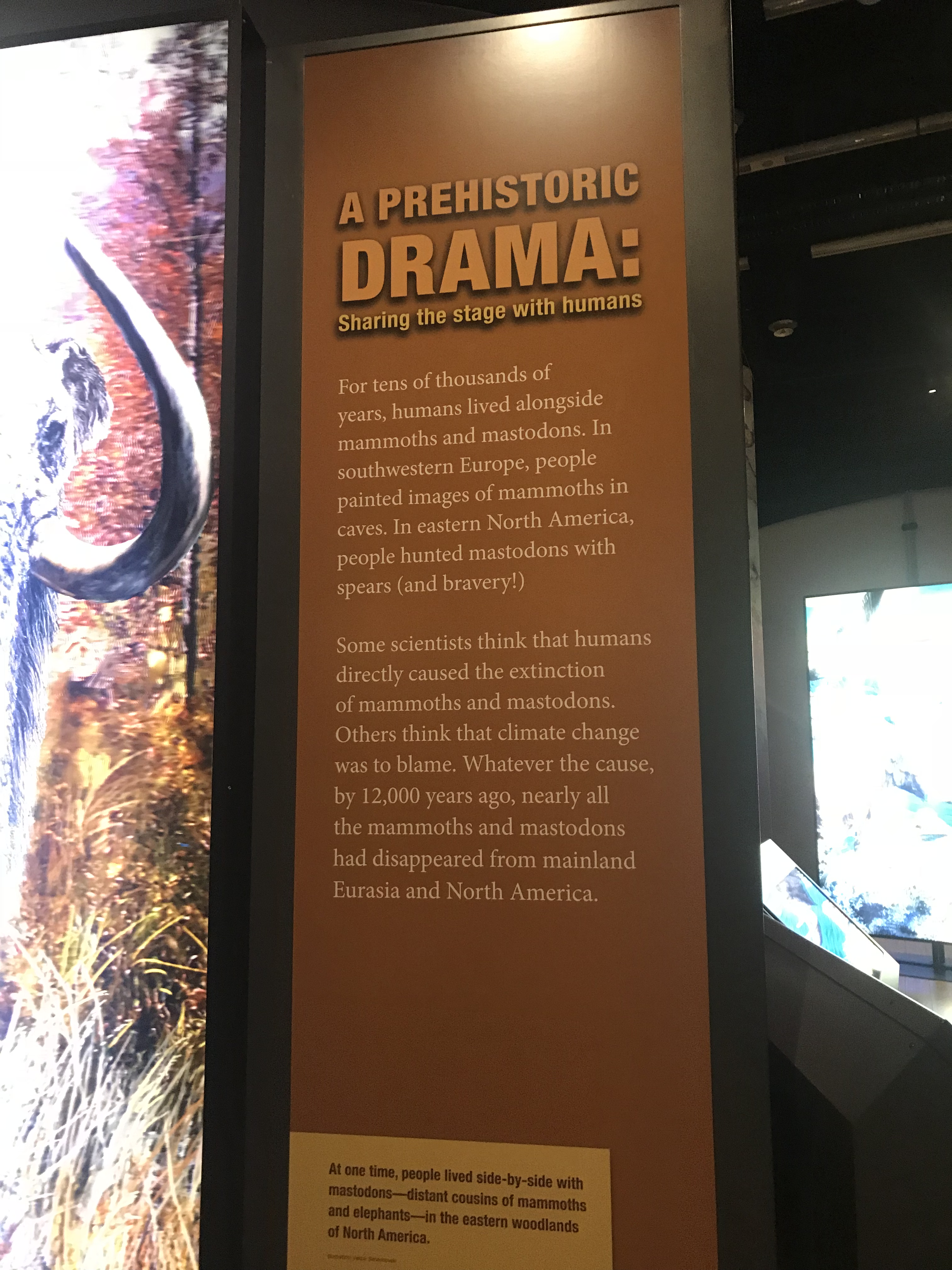 Photo 24-1-18, 12 35 47 pm