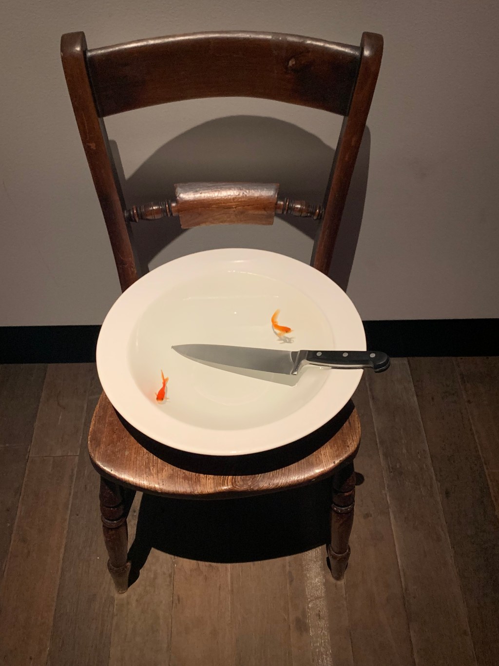 Hobart: Guest Post on Museum of Old and New Art&nbsp;(MONA)