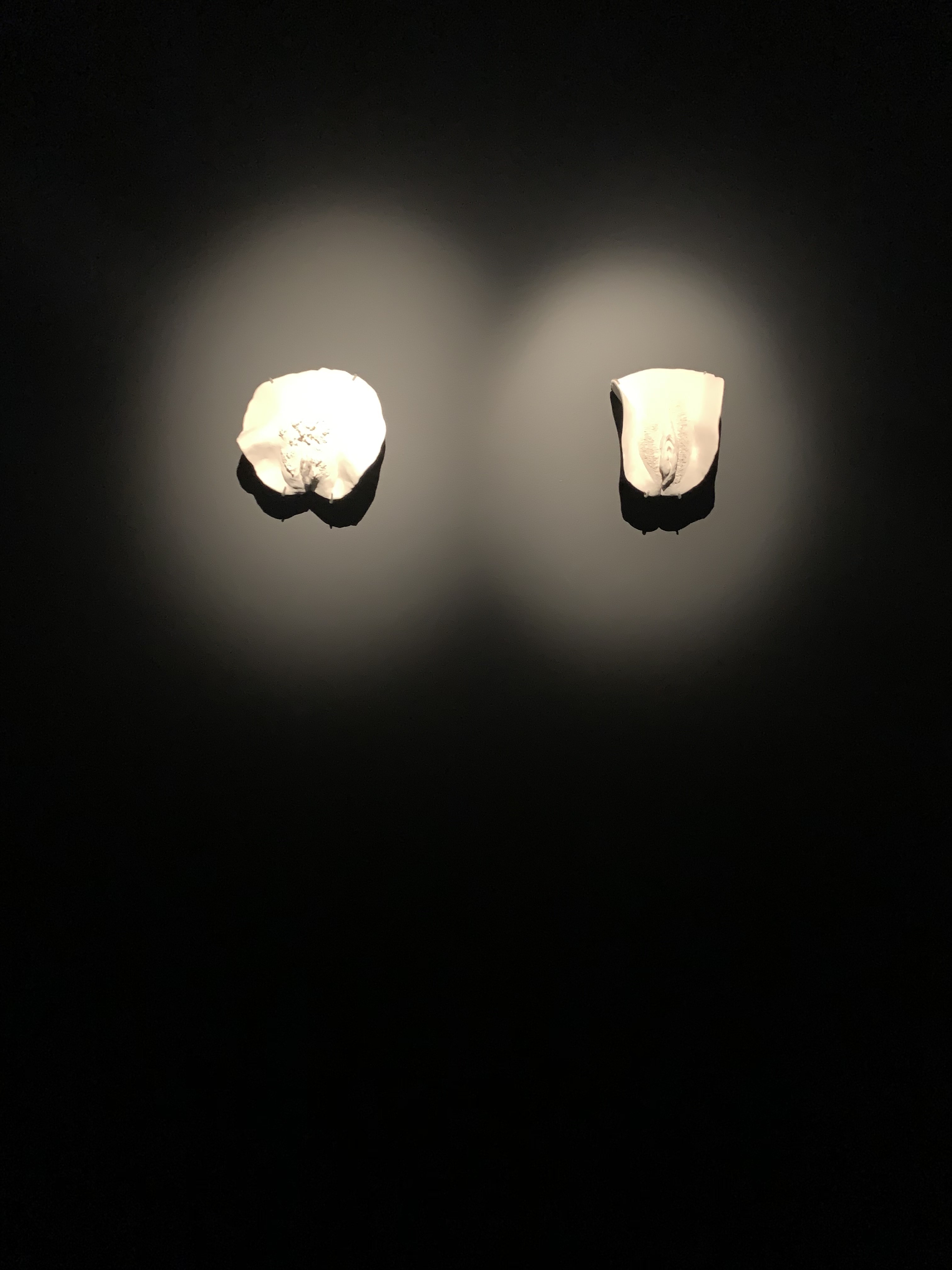 Cunts...and other conversations