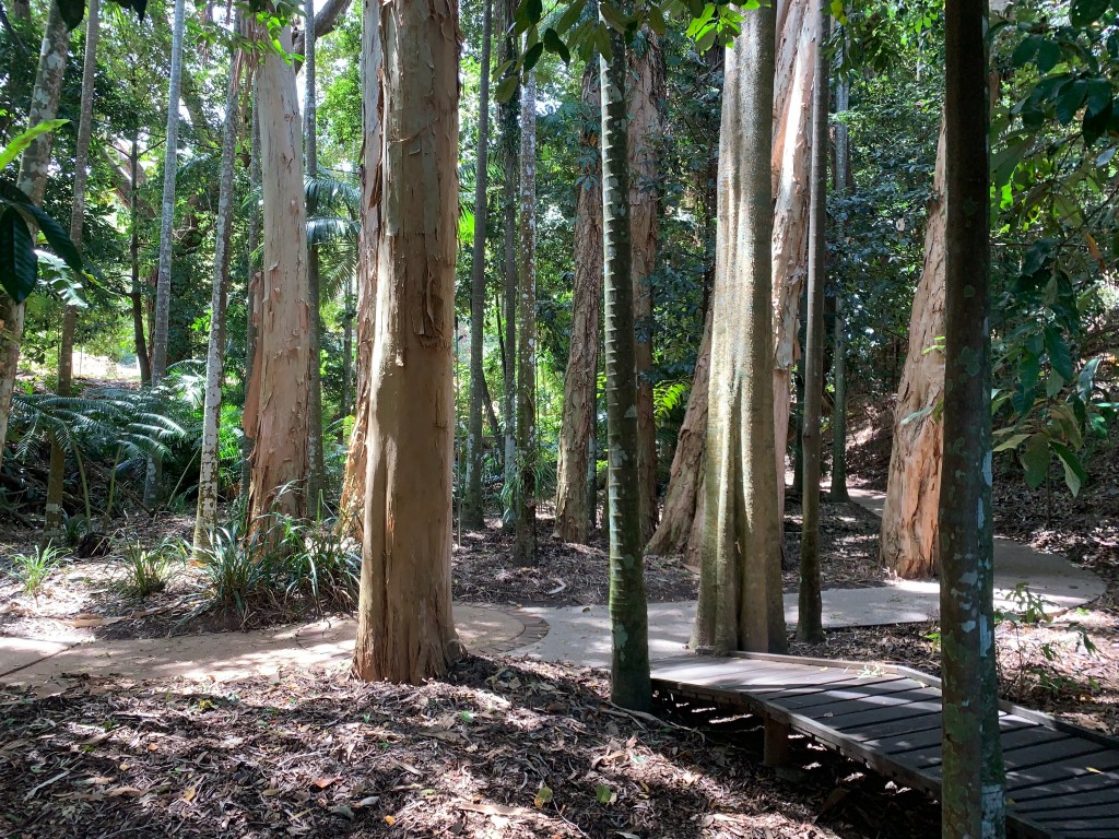 Museums & Galleries Queensland Conference: Day&nbsp;Three