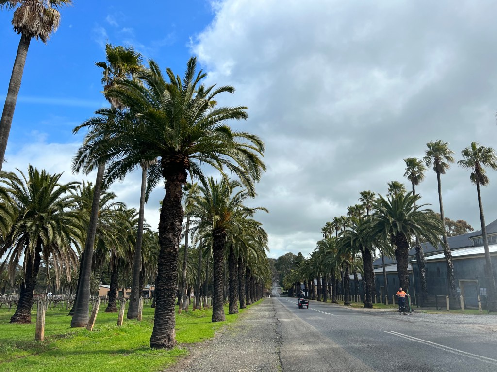 Barossa: JamFactory at Seppeltsfield