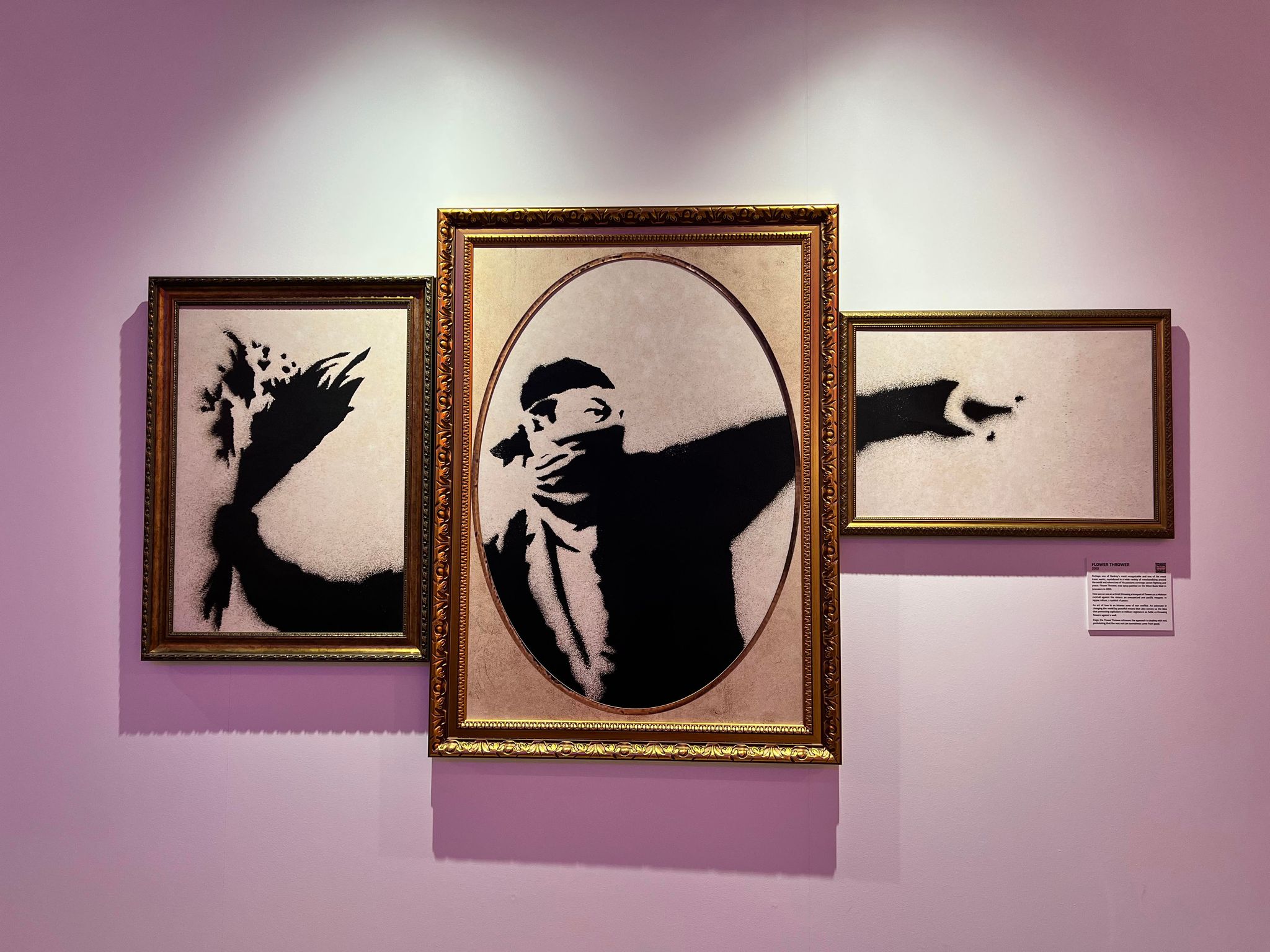 Brisbane: The Art of Banksy – Curate Your Own Adventure
