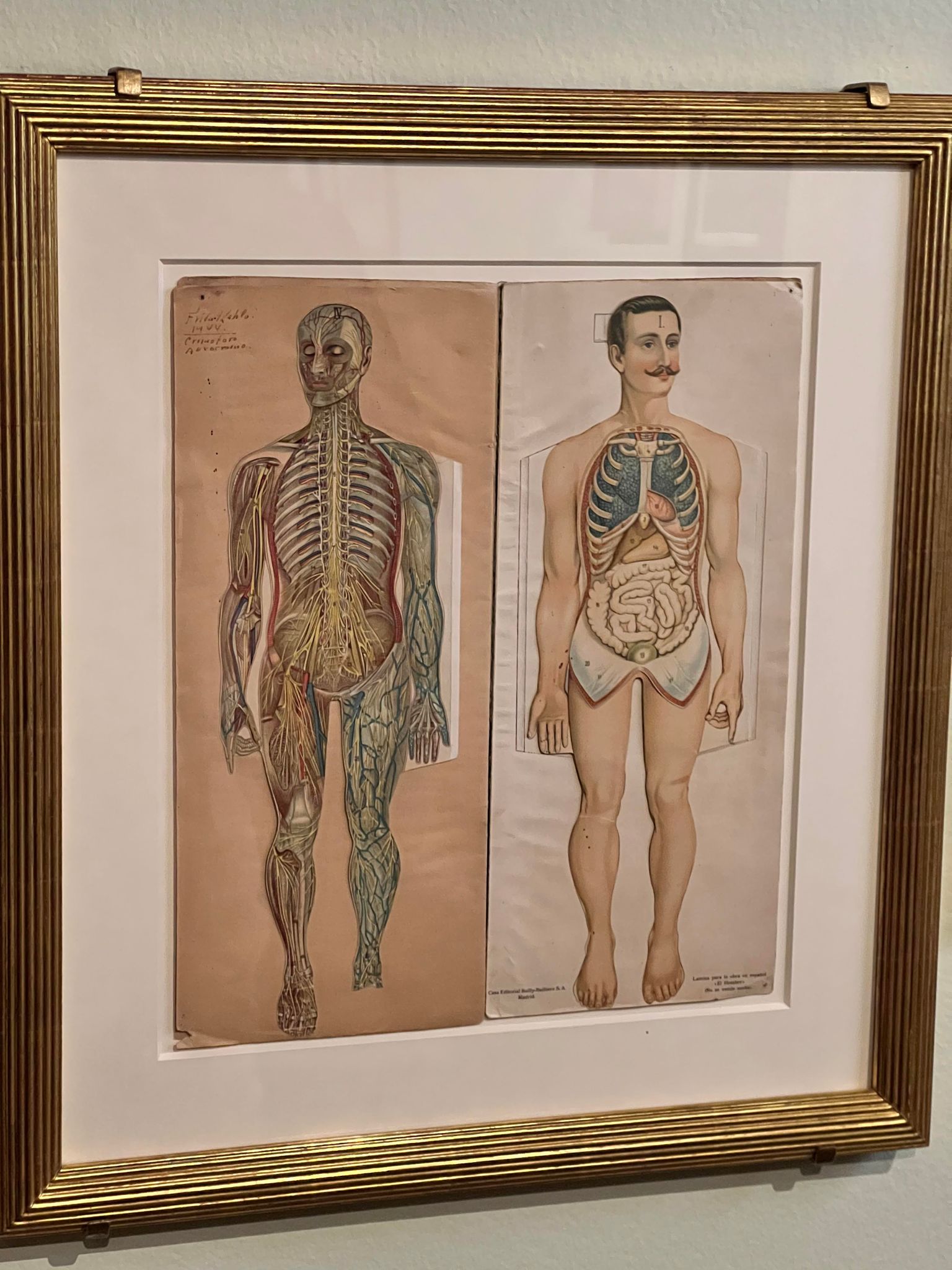 360088702_1019500119041378_3101720729947666250_n