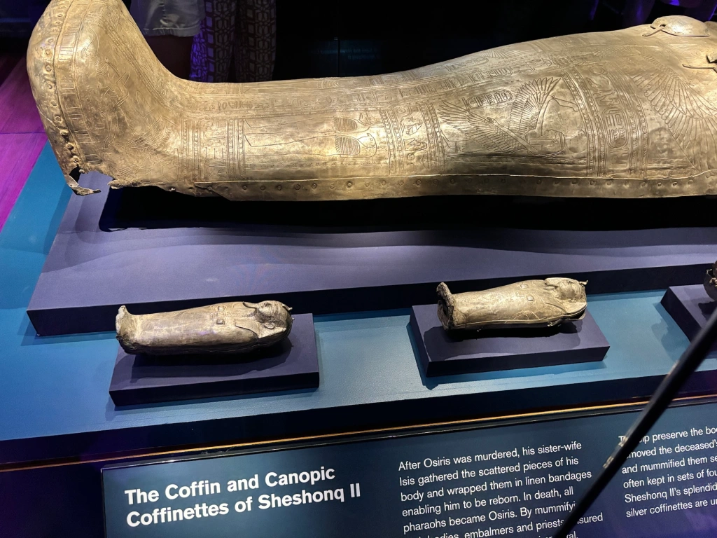 Australian Museum: Ramses and the Gold of the Pharaohs