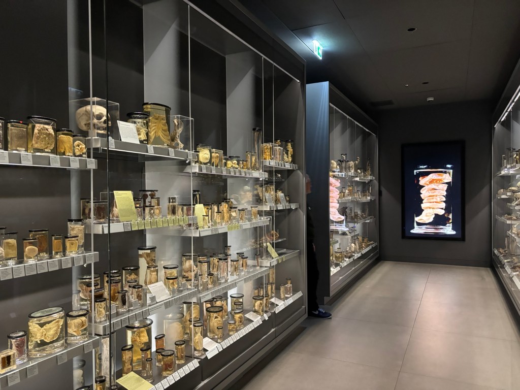 London: Hunterian Museum